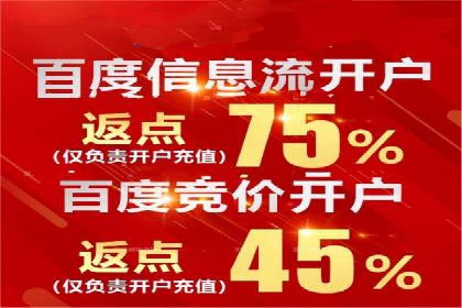 某品牌SEM广告的蜕变——代运营公司的力量
